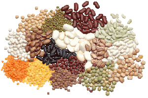 Crédito: Die grüne Speisekammer