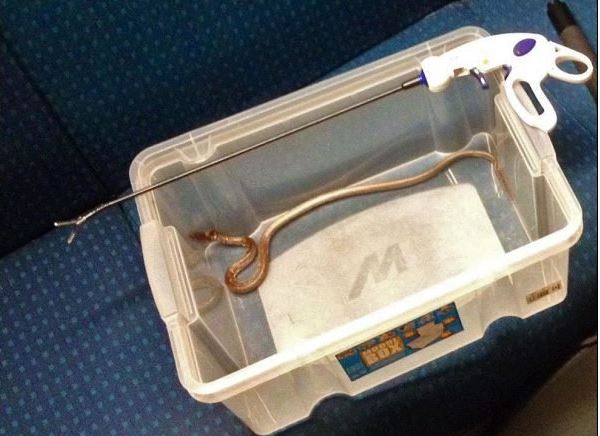 Foto: Polícia Cantonal de Berna