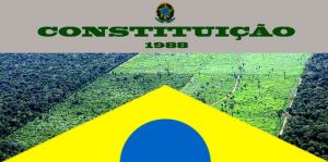 Constituição 4