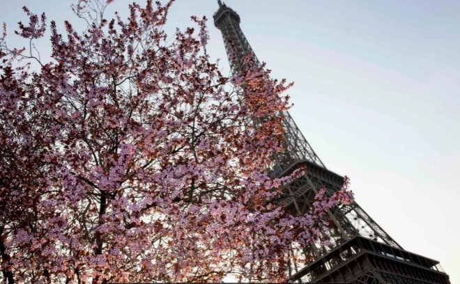 Photo: Reuters/Philippe Wojazer